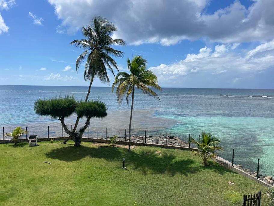 Ti Macloa - Appartement Les Pieds Dans L'Eau Sainte-Anne  Eksteriør bilde